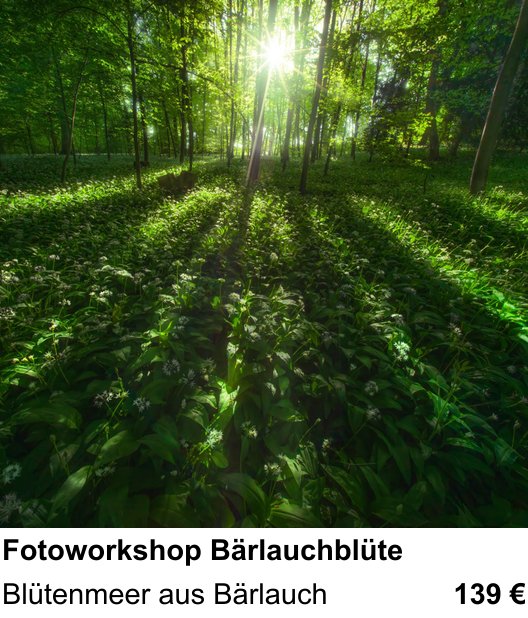 Bildstarker Fotoworkshop über Fotoworkshop Bärlauchblüte: Blütenmeer aus Bärlauch