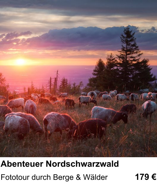Bildstarker Fotoworkshop über Abenteuer Nordschwarzwald: Fototour durch Berge & Wälder