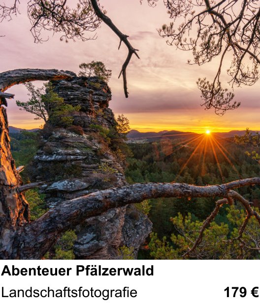 Bildstarker Fotoworkshop über Abenteuer Pfälzerwald: Landschaftsfotografie