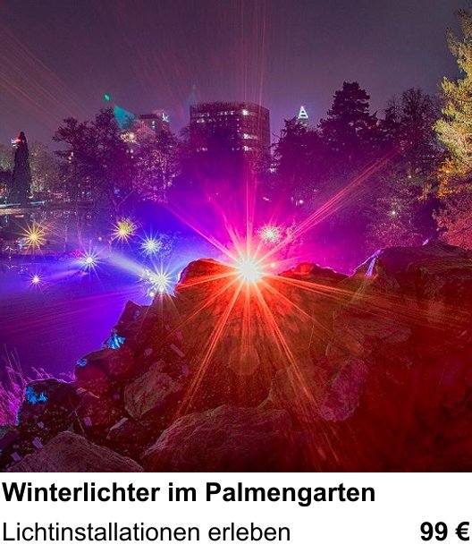 Bildstarker Fotoworkshop über Winterlichter im Palmengarten: Lichtinstallationen erleben