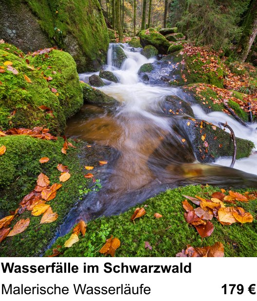 Bildstarker Fotoworkshop über Wasserfälle im Schwarzwald: Malerische Wasserläufe