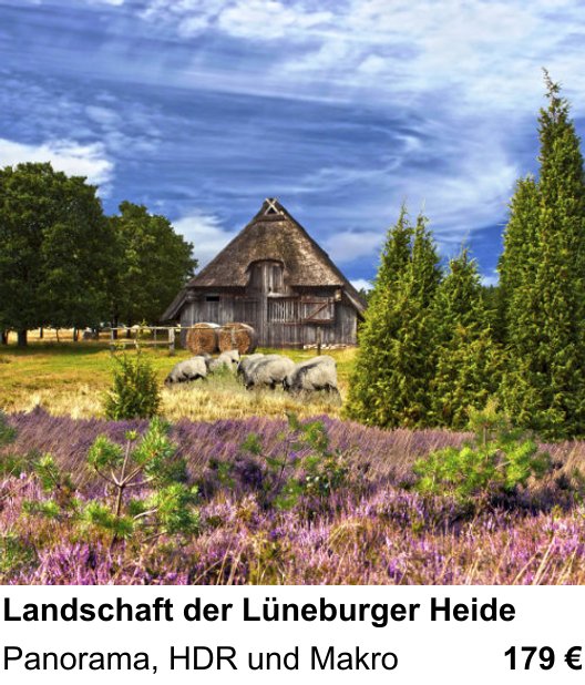 Bildstarker Fotoworkshop über Landschaft der Lüneburger Heide: Panorama, HDR und Makro