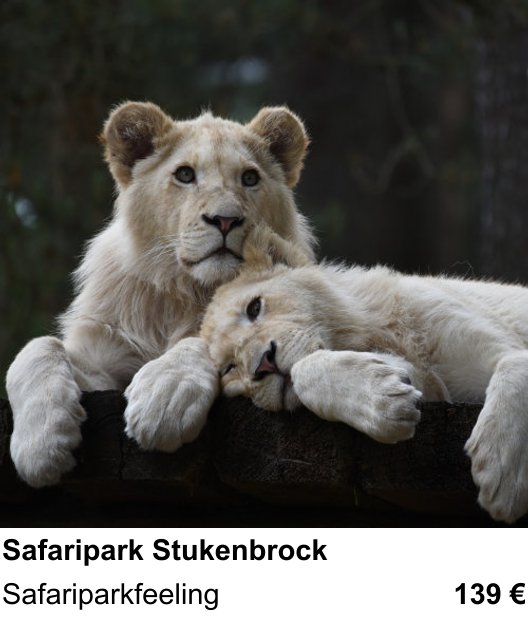 Bildstarker Fotoworkshop über Safaripark Stukenbrock: Safariparkfeeling